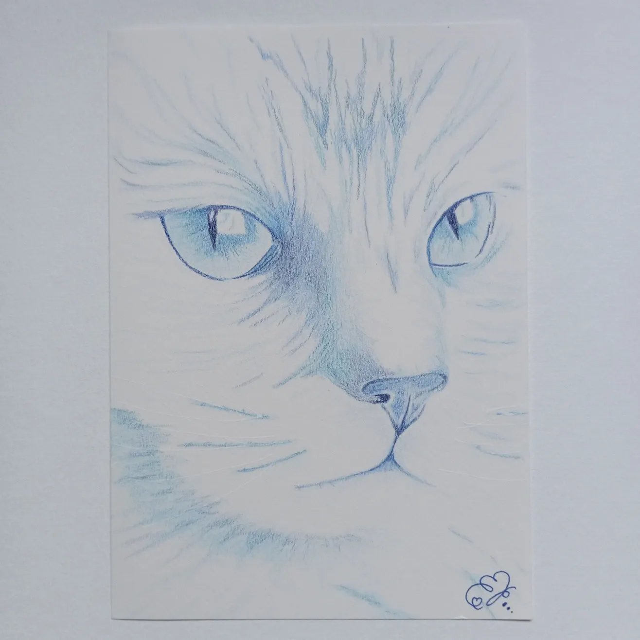 Le Chat Bleu
