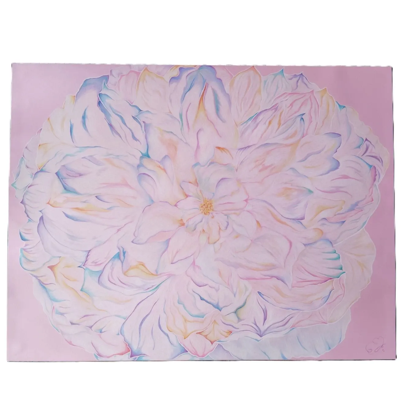 Ethereal Beauty of a White Rose