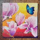 Le Baiser d'un Papillon