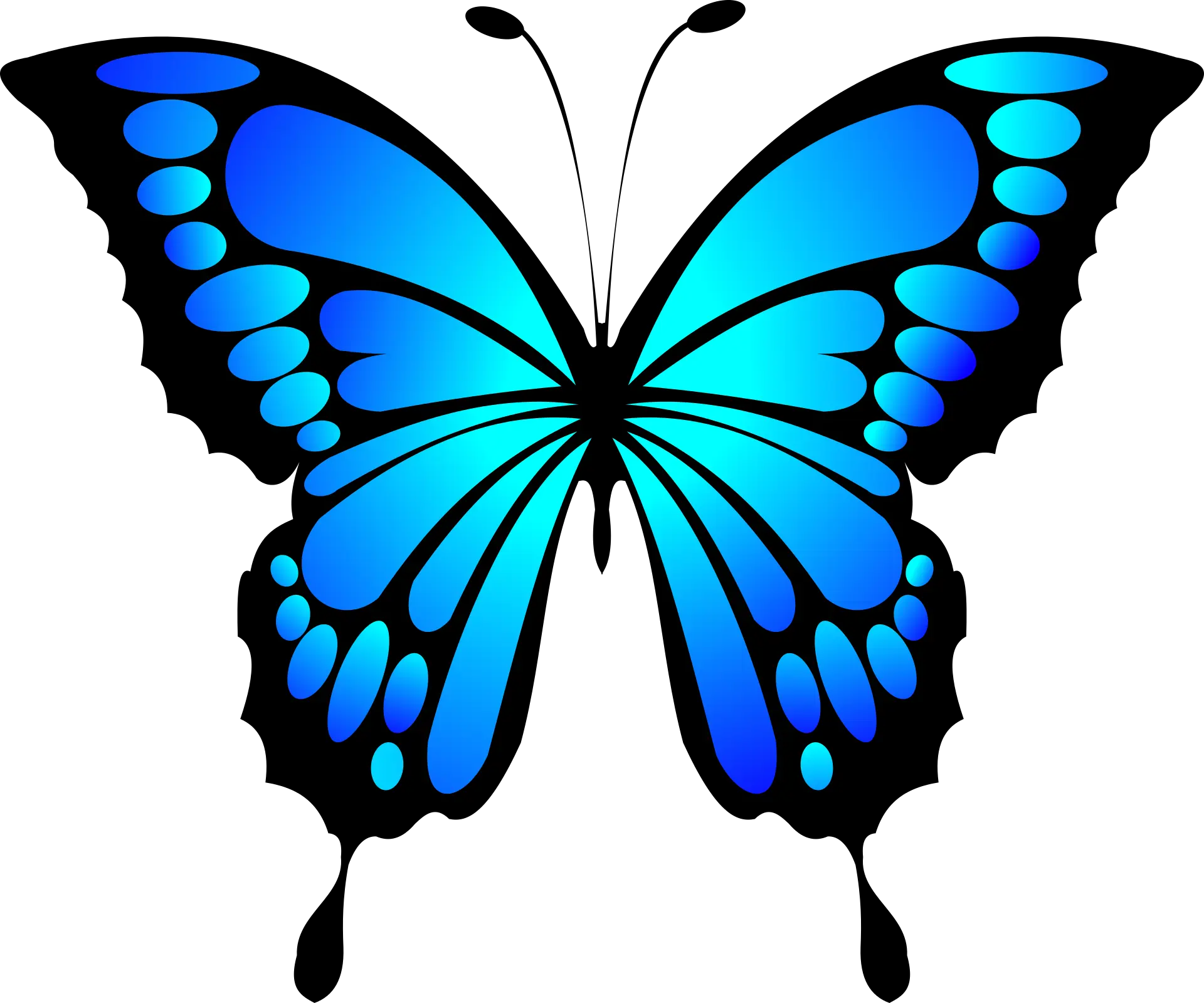 My Butterfly World - Art, Words, Life